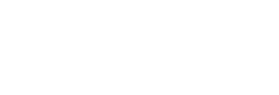 Wisej.NET logo
